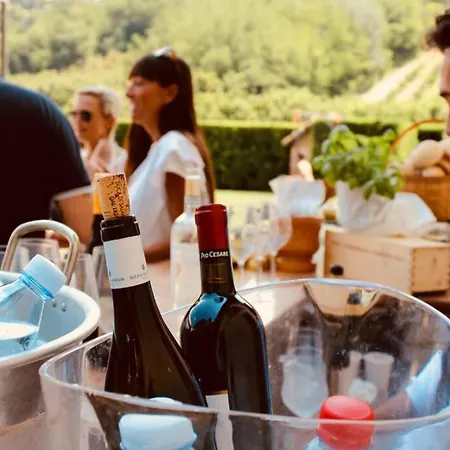 Ca' Vino Villa *
